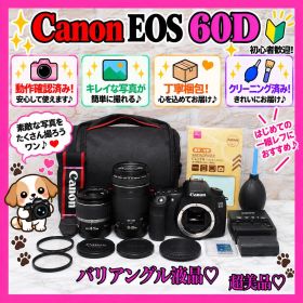 ❤️Canon EOS 60D ❤️ハイアマチュア ✨️ショット数僅か352回✨️新品級