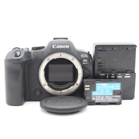 ■美品■ CANON EOS R6 MarkII ボディ ♯14803
