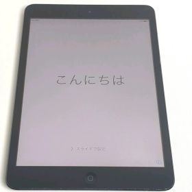 S30 iPad mini 第1世代 A1455 Cellular 本体
