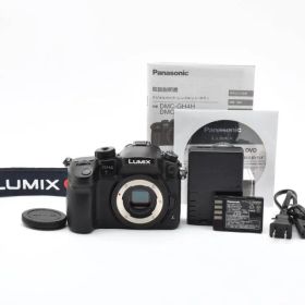 Panasonic DMC-GH4 シャッター数3854回 #571