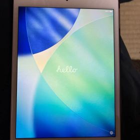 Apple iPad mini5本体