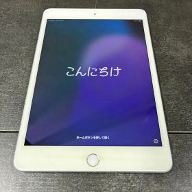 美品 iPad mini 第5世代 256GB Cellular SIMフリー