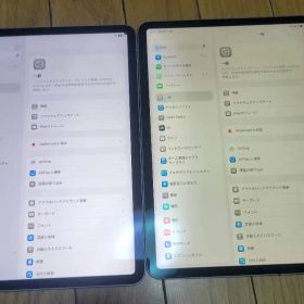 Apple iPad Pro 11インチ 第1、2世代 256GB 本体