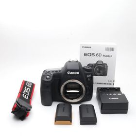 Canon EOS 6D Mark II ボディー 〔キヤノン EF マウント〕