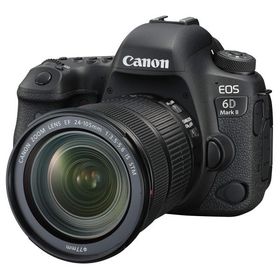 Canon デジタル一眼レフカメラ EOS 6D Mark II EF24-105 IS STM レンズキット EOS6DMK2-24105ISSTMLK