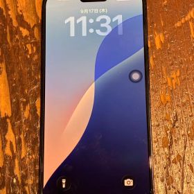 Apple iPhone 14 Pro Max 512GB 本体