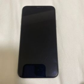 Apple iPhone X 本体
