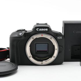 ★極上美品★ ★ショット数2000回以下★ キヤノン Canon EOS R100 ボディ 充電器付き ARYM7111 #465