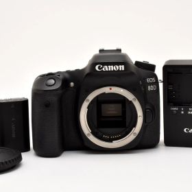 ★美品★ 《ショット数 30394回》 キヤノン CANON EOS 80D ボディ #2933