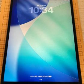 Apple iPad Air 第3世代 64GB 本体 <<訳あり>> ひび割れ