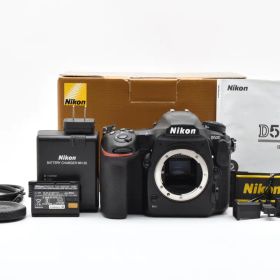 Nikon D500 DXフォーマットAPS-C 2088万画素 2729