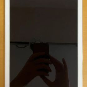 ①【動作確認済】iPad Air 第1世代 Wi-Fi 32GB シルバー