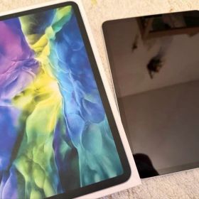 iPad Pro 11インチ第2世代 256GB Wi-Fi+Cellular