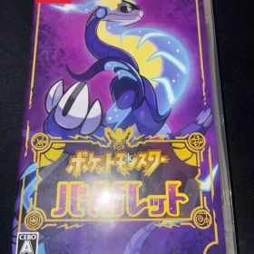 Nintendo Switch ポケットモンスター バイオレット