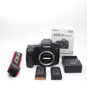 Canon EOS 6D Mark II ボディー 〔キヤノン EF マウント〕