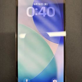Apple iPhone 12 Pro 256GB 本体