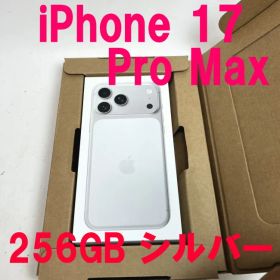 Apple iPhone 17 Pro Max 256GB シルバー 新品 未使用
