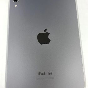 美品 電池91％ iPad mini(A17 Pro) 256GB Wi-Fiモデル スペースグレイ