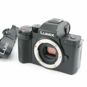 ★極上品★ショット数：2,175回★パナソニック PANASONIC DC-G100 ボディ ストラップ付★ I0934＃5781