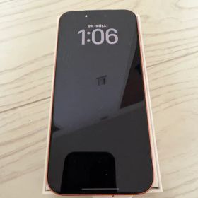 iPhone 17Pro Max 本体 美品256GB