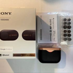 SONY ワイヤレスイヤホン WF-1000XM3 【バッテリー消耗品】