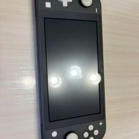Nintendo Switch Lite 本体 グレー ケース付き