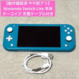 【動作確認済 やや訳アリ】Nintendo Switch Lite 本体