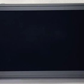 Switch lite