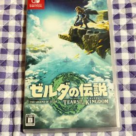 ゼルダの伝説 ティアーズ オブ ザ キングダム Switch