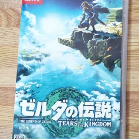 ゼルダの伝説 ティアーズ オブ ザ キングダム