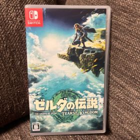 ゼルダの伝説 ティアーズ オブ ザ キングダム