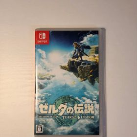 ゼルダの伝説 ティアーズ オブ ザ キングダム Switch