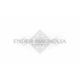 ENDER MAGNOLIA： Bloom in the Mist -Switch