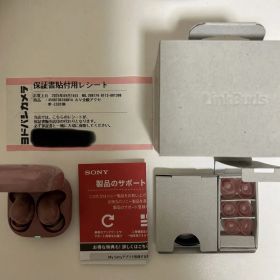 SONY LinkBuds Fit ノイキャンイヤホン WF-LS910N