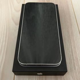 iPhone 12 Pro Max 256 GB SIMロックなし