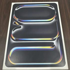 【極美品】iPad Pro M5 13インチ Cellular 256GB