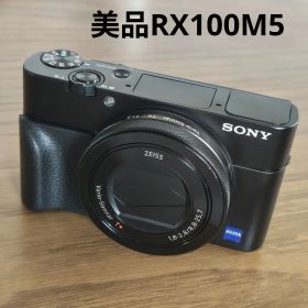 【美品】SONY Cyber-shot DSC-RX100M5