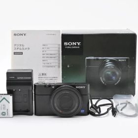 ソニー SONY DSC-RX100 1型センサー搭載 【元箱付き・付属品多数】