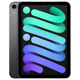 Apple iPad mini 8.3インチ 第6世代 Wi-Fi+Cellular 256GB 2021年秋モデル SIMフリー
