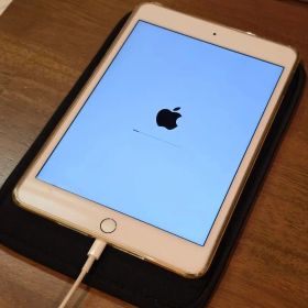 Apple iPad mini 4 64GB 本体