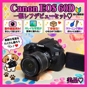 ❤️美品 Canon EOS 60D 一眼レフ 初心者 レンズセット