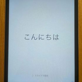 Apple iPad mini 第1世代 Wi-Fiモデル 16GB