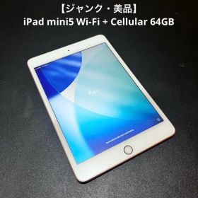 【ジャンク・美品】Apple iPad mini 第5世代 64GB セルラー