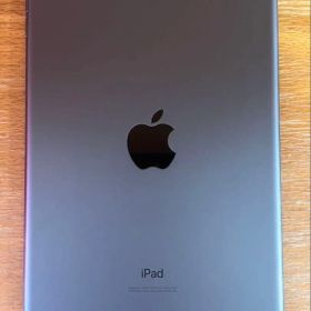 iPad mini 5 Wi-Fi + Cellularモデル 256G