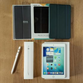 iPad mini 5 セルラー 256GB Appel pencil その他