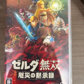 Nintendo Switch ゼルダ無双 厄災の黙示録 ソフト