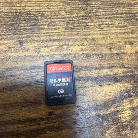 【ケース無し】ゼルダ無双 厄災の黙示録 Nintendo Switch ソフト