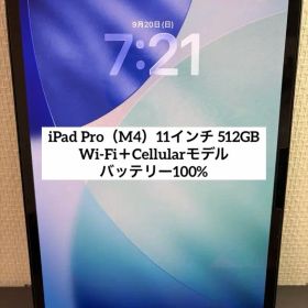 iPad Pro(M4) 11インチ512GB WiFiモデル＋Cellular