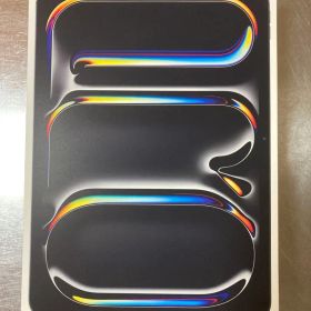 極美品iPad Pro 11インチM5 512GB Wi-Fi+Cellular