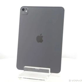 ソフマップ 〔中古品〕 iPad Pro 11インチ(M5) 標準ガラス 1TB スペースブラック MDWP4J／A Wi-Fi【262】